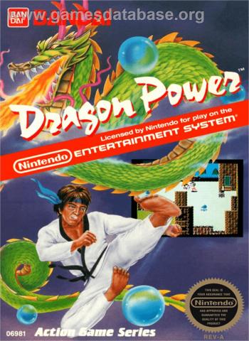 Cover Dragon Power for NES